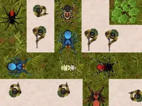Spider Defense image