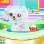 My New Poodle Friend – Pet Care Game