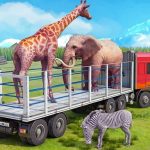 Truck Driving Animal Transport